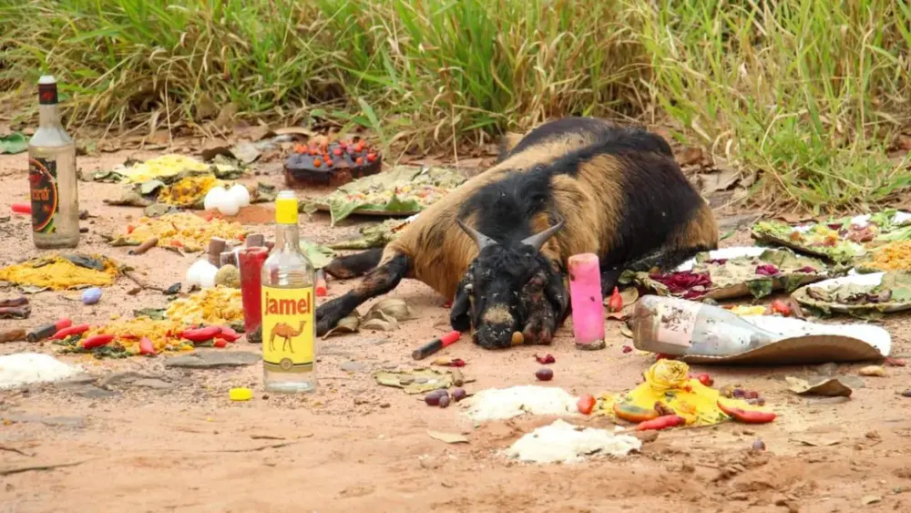 Bode morto em oferenda gera mau cheiro e revolta moradores