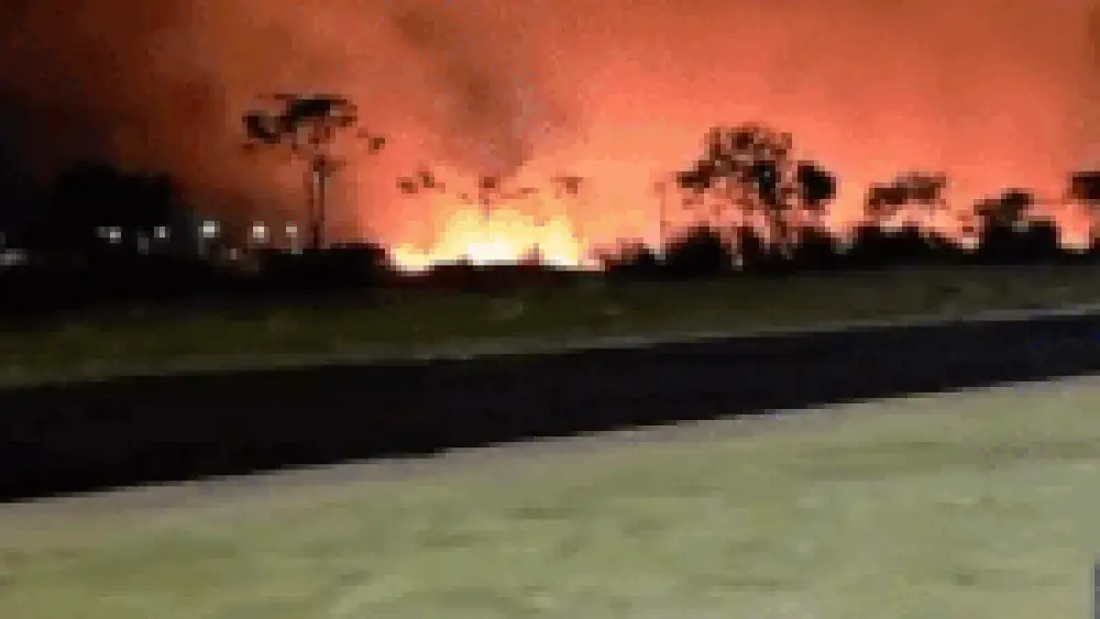 Incêndio de grande porte atinge mata em Chapadão do Sul