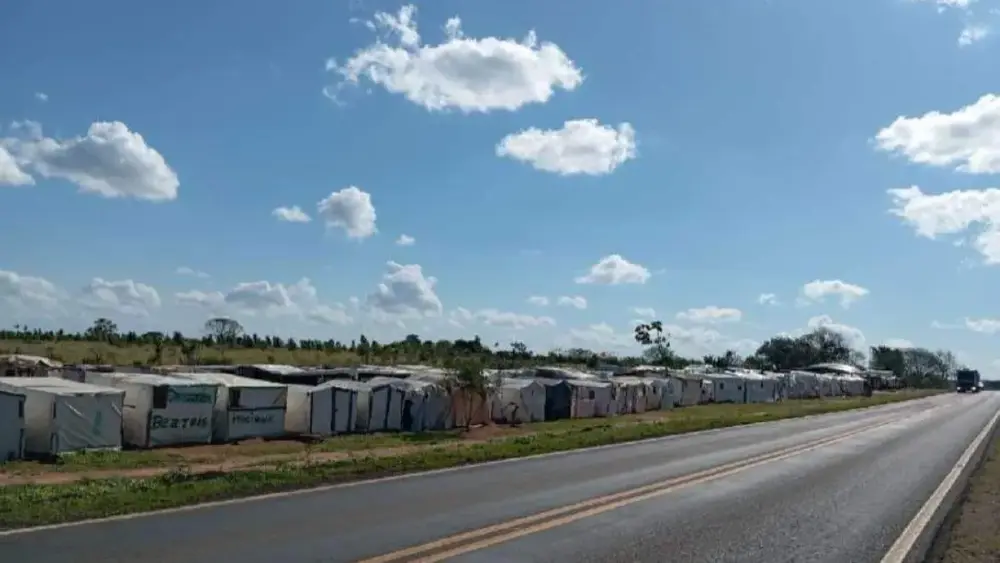 Justiça autoriza reintegração de área com 190 famílias na MS-384