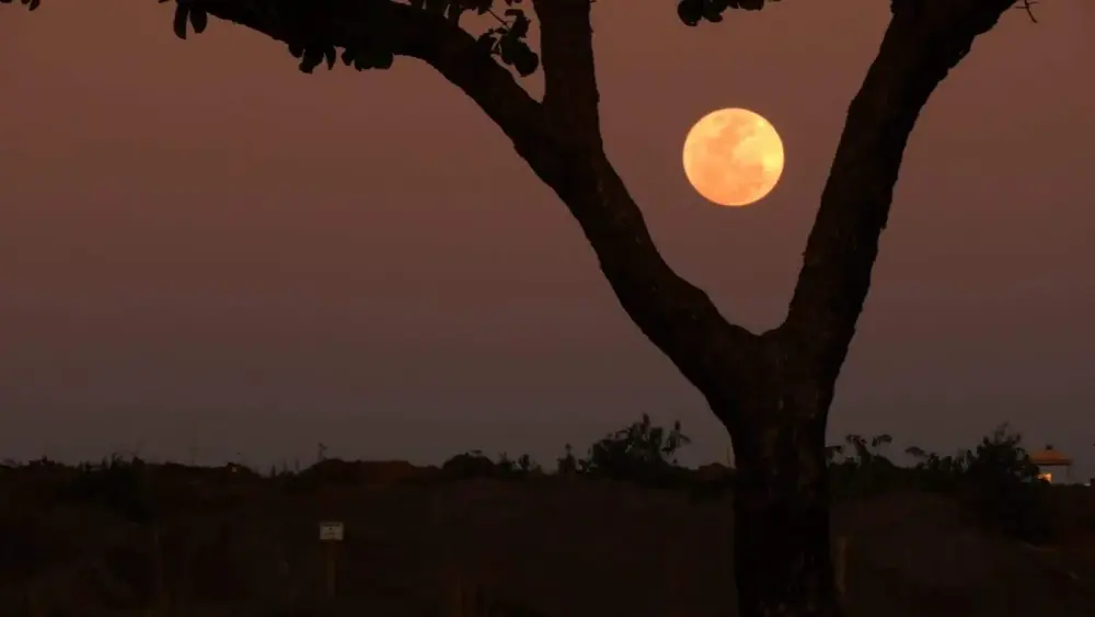 Lua de Morango colore o céu de fogo em MS