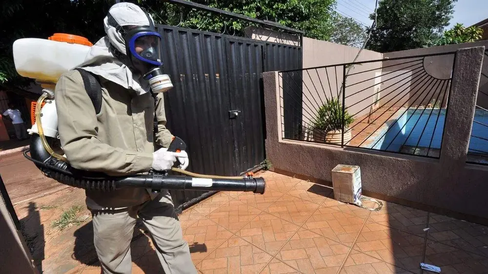 Mortes por chikungunya em MS superam soma de 11 anos