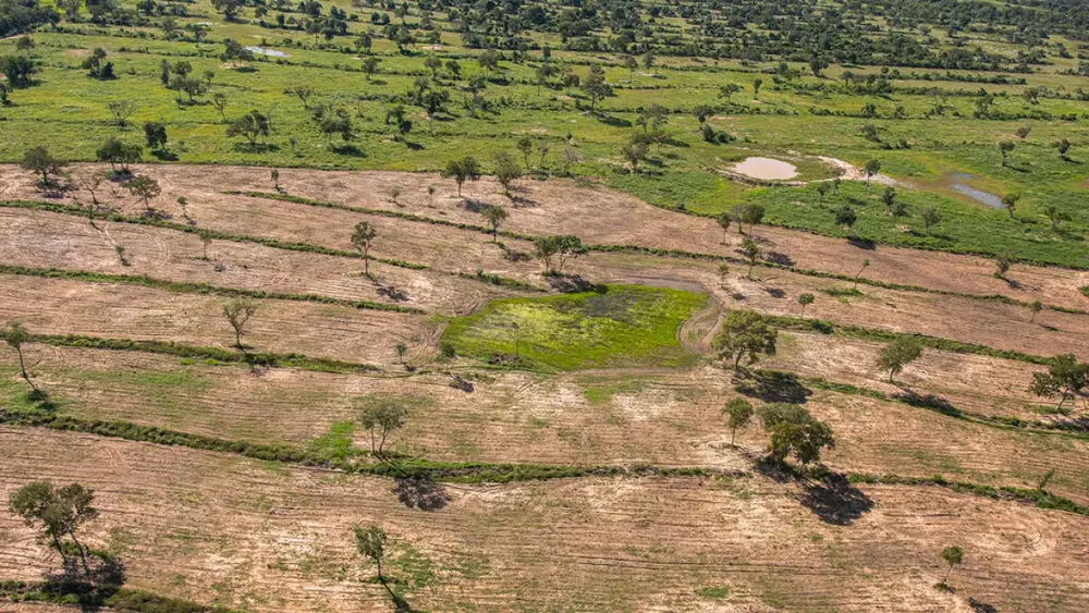 MPMS cria unidade regional para combater incêndios e desmate no Pantanal