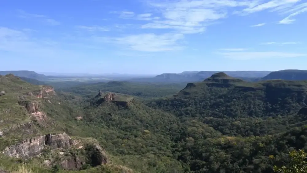 Pantanal lidera queda no desmatamento; Cerrado recua 11,5%