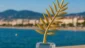 Por que a Palme d’Or é tão cobiçada em Cannes?