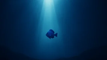 Procurando Dory: A Missão Inesperada de Dory no Oceano Profundo