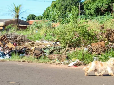 Brazil cracks down: overgrown lots and trash now cost up to $12.8K