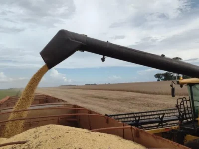 Brazil soybean exports surge 41% to $385 million in MS