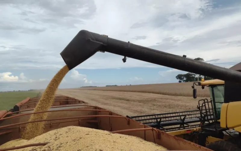 Brazil soybean exports surge 41% to $385 million in MS