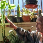 Brazil Antonia prays for plants that failed in barren lands