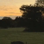 Brazil captures moon, Venus and Pantanal sun in stunning photo