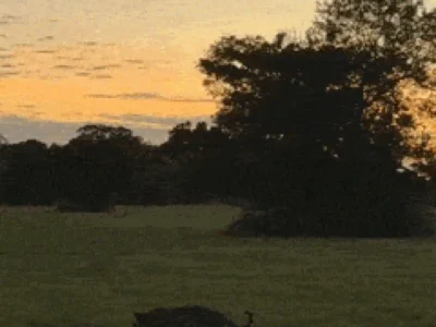 Brazil captures moon, Venus and Pantanal sun in stunning photo