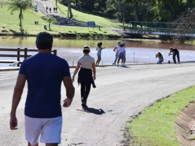 Brazil braves winter chill as 11C cold fails to deter athletes